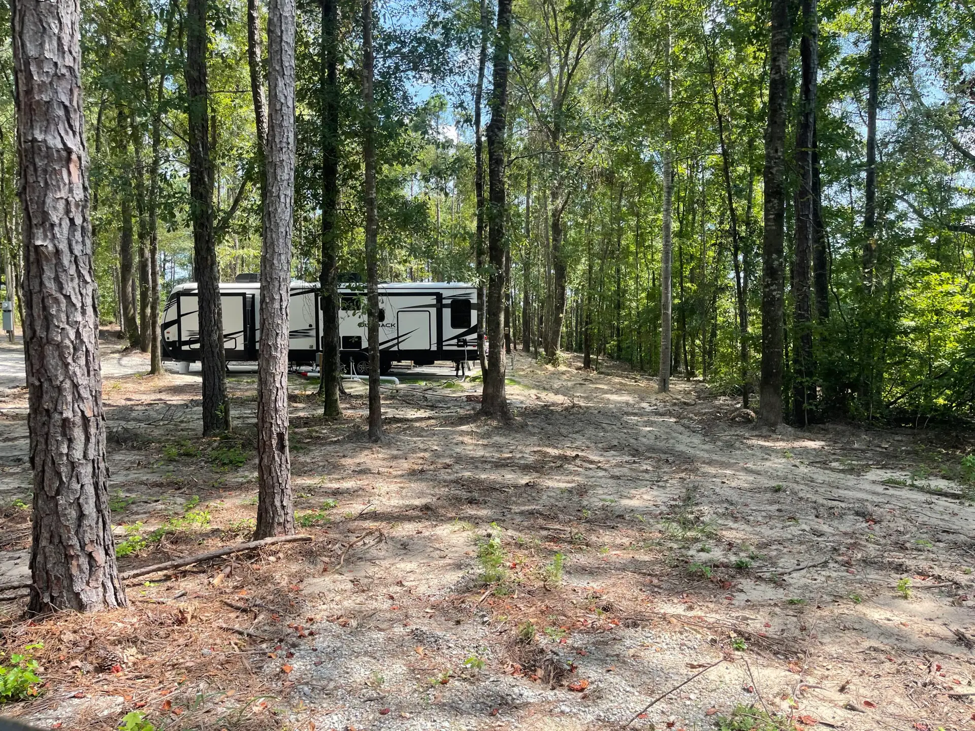 Backwoods RV Park wooded entrance